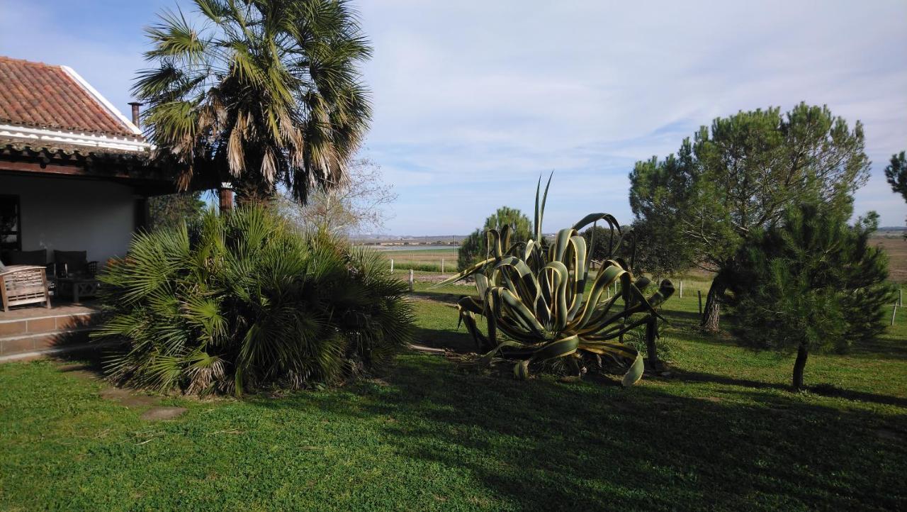 Lodge Monte Do Sobral Alcacovas Bagian luar foto