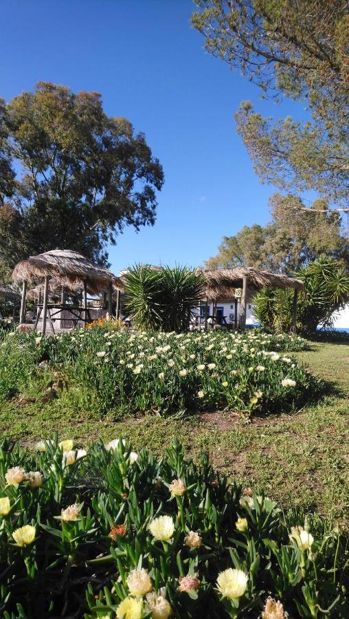 Lodge Monte Do Sobral Alcacovas Bagian luar foto