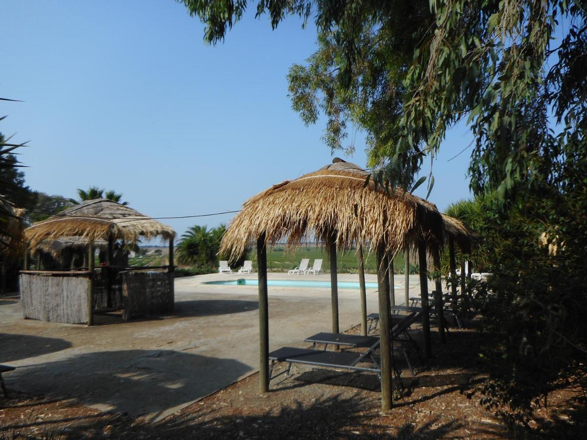 Lodge Monte Do Sobral Alcacovas Bagian luar foto